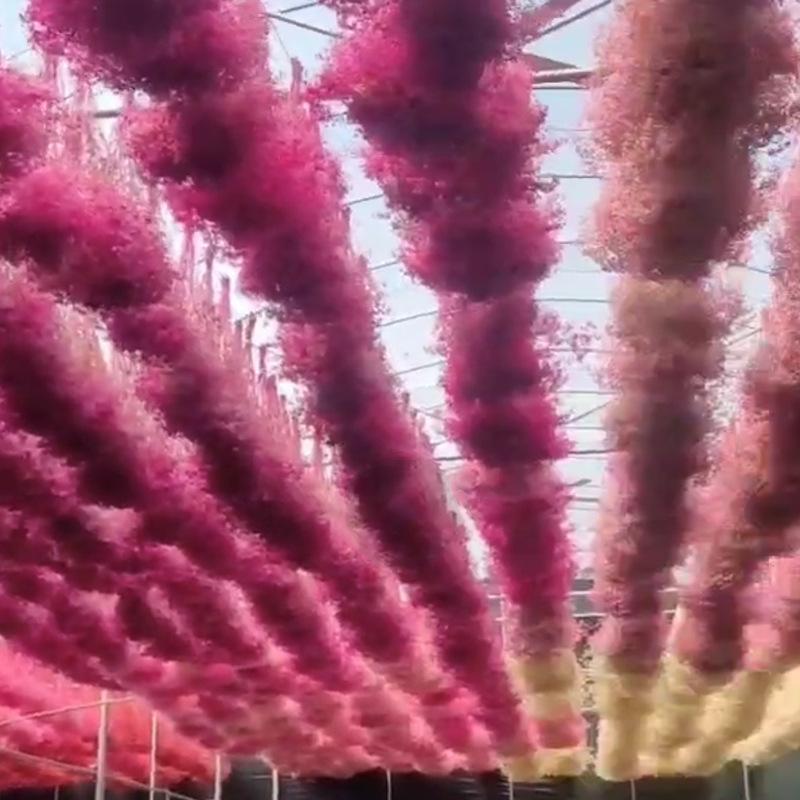 Hoa khô trang trí FY-30