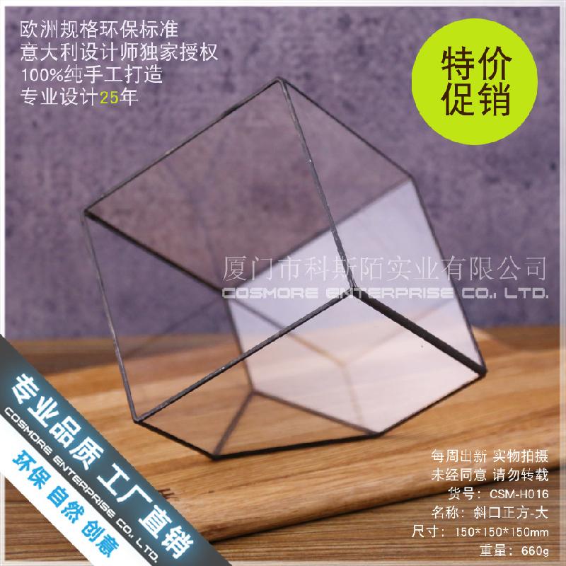 Chậu Đa Giác Nhà kính vuông rêu cảnh (DG-24)