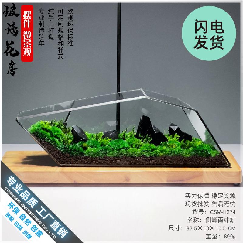 Chậu Đa Giác Bể Terrarium rêu cảnh, tường cây, bể cá kính (DG-64)