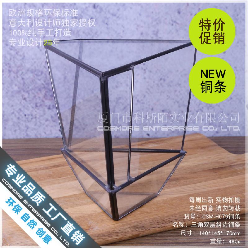 Chậu Đa Giác Nhà kính Terrarium rêu cảnh, chậu cây mini (DG-180)