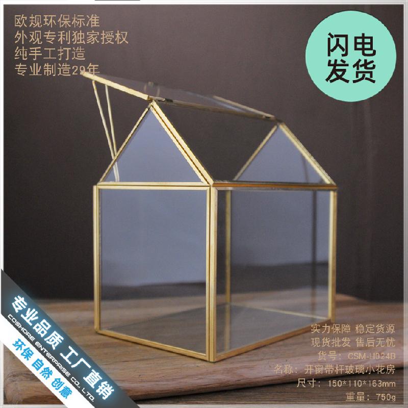 Chậu Đa Giác Nhà kính cửa sổ viền vàng, tiểu cảnh rêu (DG-69)