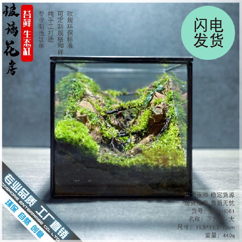 Chậu Đa Giác DG-21 Hộp nhỏ cảnh quan của thực vật mọc mịn