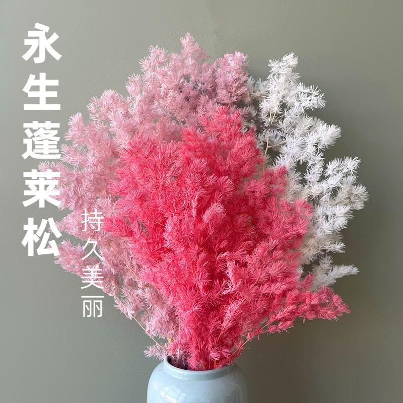 Hoa khô trang trí FY-39