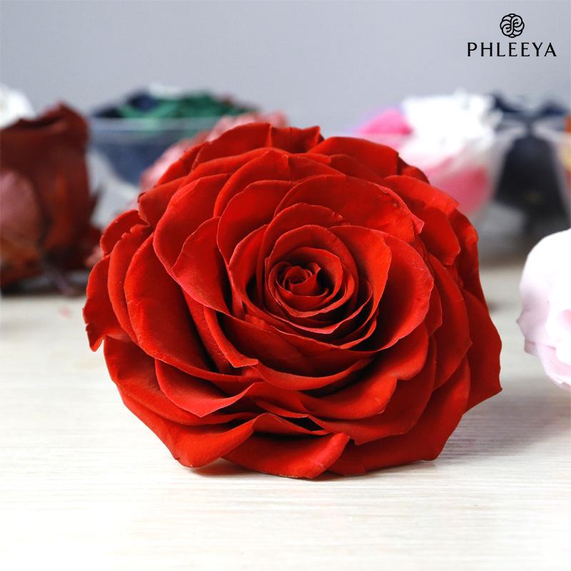 Hoa khô trang trí Hoa hồng vĩnh cửu 9–10cm bông lớn DIY hộp quà (HK-59)