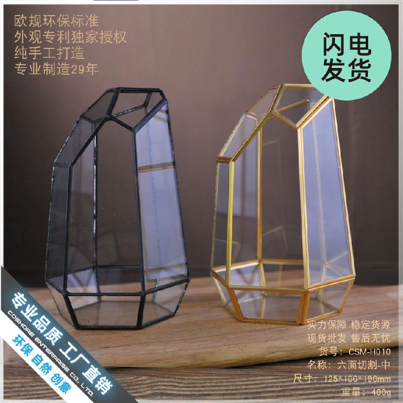 Bể kính rêu cảnh 6 mặt (DG-31)