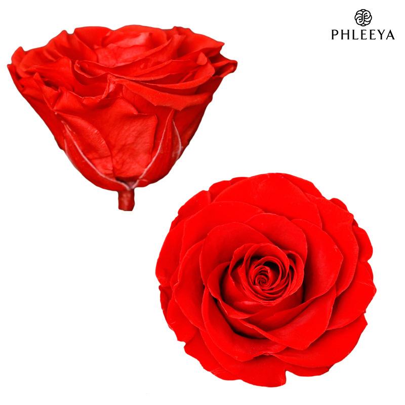 Hoa khô trang trí Hoa hồng vĩnh cửu hạng A DIY hộp quà Valentine (HK-145)