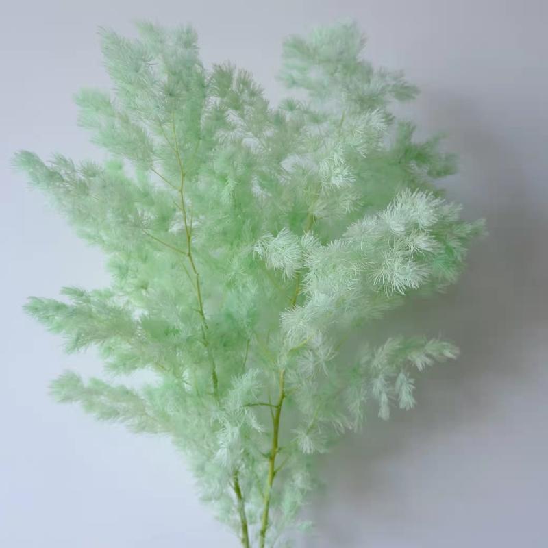 Hoa khô trang trí FY-41