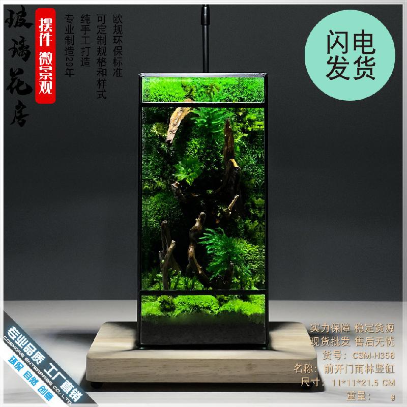 Chậu Đa Giác 几何玻璃花房小型客厅生态桌面造景缸迷你雨林盒苔藓微景观水草缸