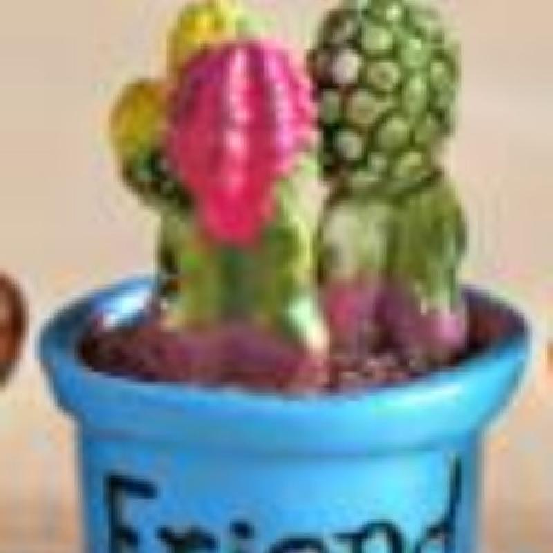 Tiểu cảnh chậu xương rồng nhỏ, trang trí bàn làm việc mini (ZC-333)