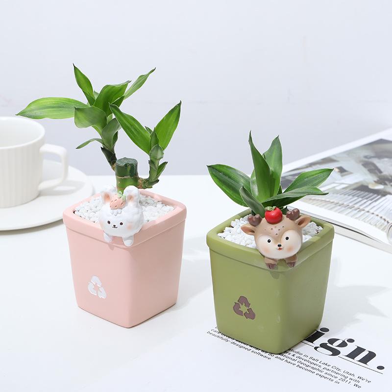 Chậu Cây Resin Chậu cây mọng nước resin DIY phong cách Instagram, chậu mini thủ công, trang trí văn phòng và nhà (RG-140)