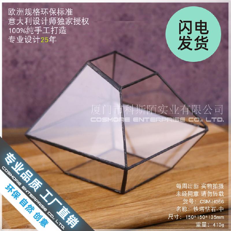 Chậu Đa Giác Chậu kính sen đá, tiểu cảnh rêu (DG-187)