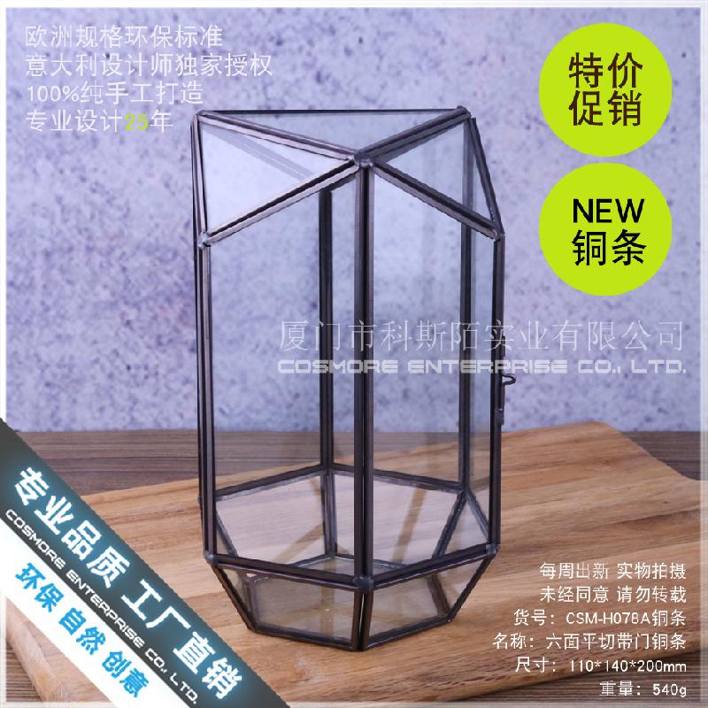 Chậu Đa Giác Hộp kính rêu cảnh, hộp quà cây cảnh (DG-181)