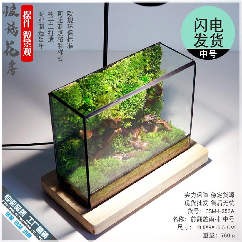 Chậu Đa Giác DG-18 Các bức tranh rừng kính hoa phòng để trang trí thiên nhiên