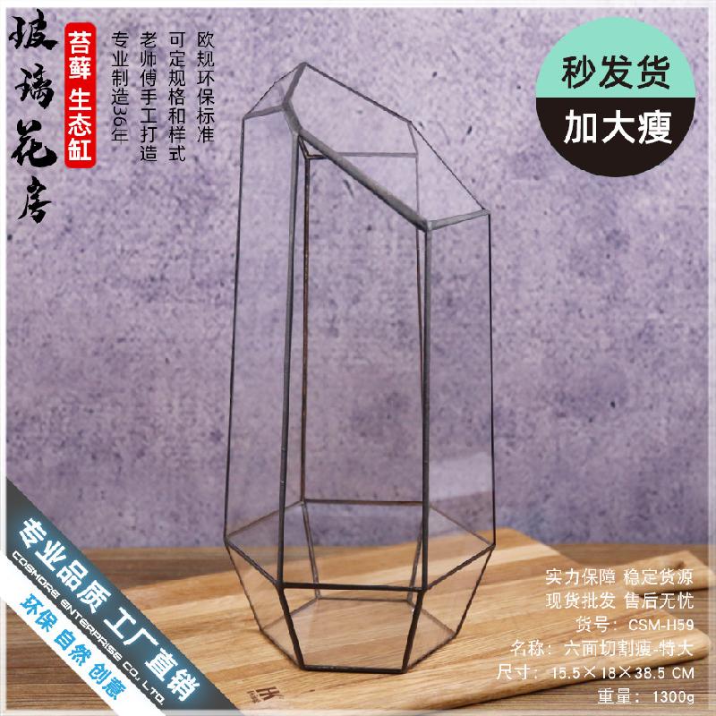 Chậu Đa Giác Nhà kính 6 mặt cắt lớn Terrarium (DG-230)