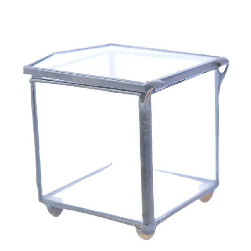 Chậu Đa Giác DG-237 Hộp trang sức nằm ngược cấu trúc, cây thực vật mộc mạc, cảnh quan nhỏ độc đáo, kính lớn bất quy tắc