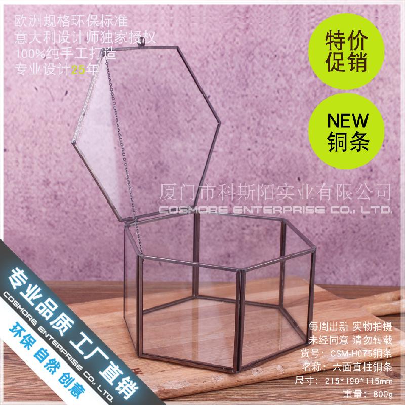Chậu Đa Giác Nhà kính 6 mặt viền đồng, tiểu cảnh rêu (DG-185)