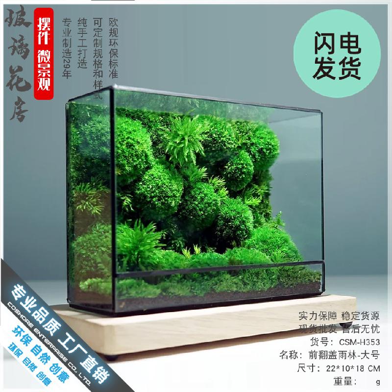 Chậu Đa Giác Bể rêu cảnh hệ sinh thái để bàn (DG-6)