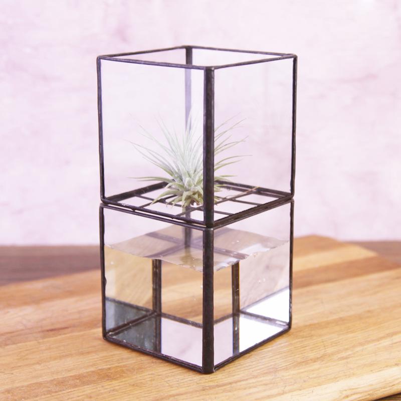 Chậu Đa Giác DG-72 Hộp cây phủ nước hai tầng với chai thủy tinh hiện đại đơn giản