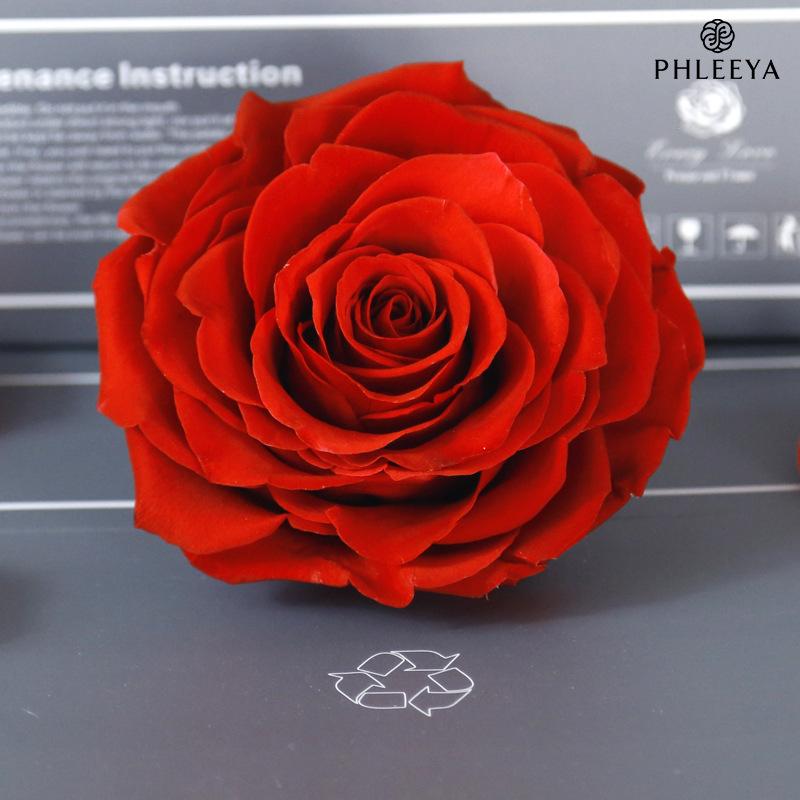 Hoa khô trang trí Hoa hồng vĩnh cửu 9–10cm bông lớn DIY hộp quà (HK-59)