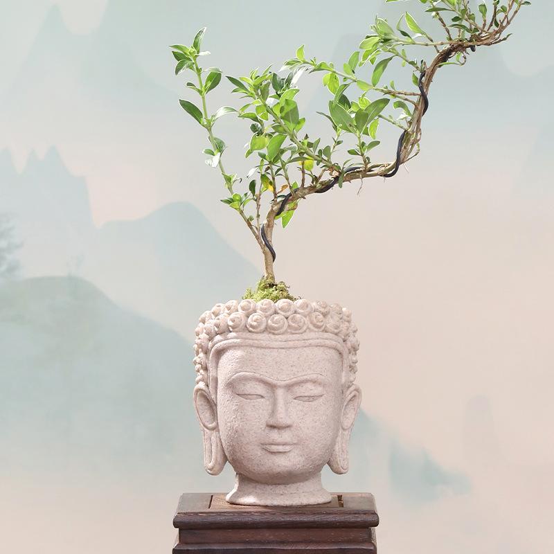 Chậu Cây Resin Chậu cây resin giả xi măng hình đầu Phật, chậu mọng nước mini, trang trí nhà và sân vườn (RG-110)
