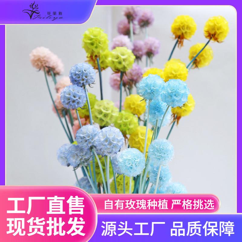 Hoa khô trang trí FY-29