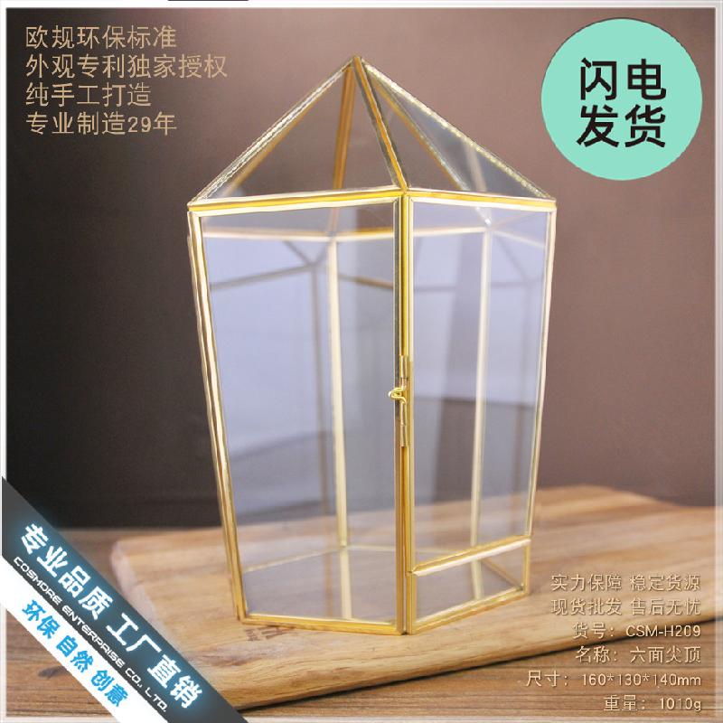 Chậu Đa Giác Nhà kính hình học, hộp hoa bất tử, Terrarium (DG-111)