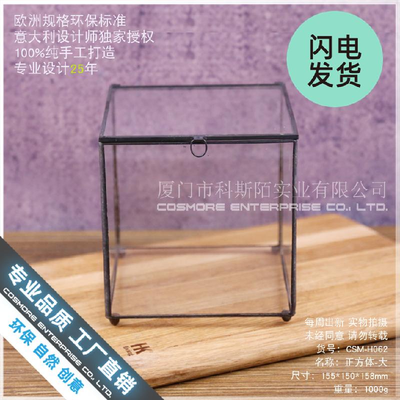 Chậu Đa Giác Nhà kính vuông lớn Terrarium (DG-41)
