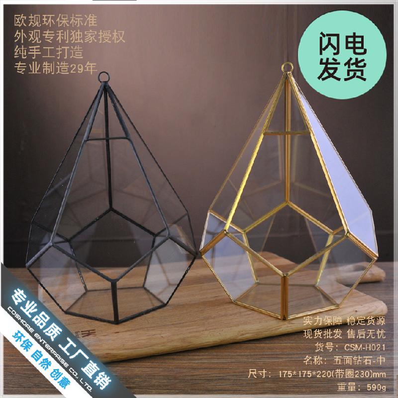 Chậu Đa Giác Nhà kính kim cương 5 mặt trung (DG-225)