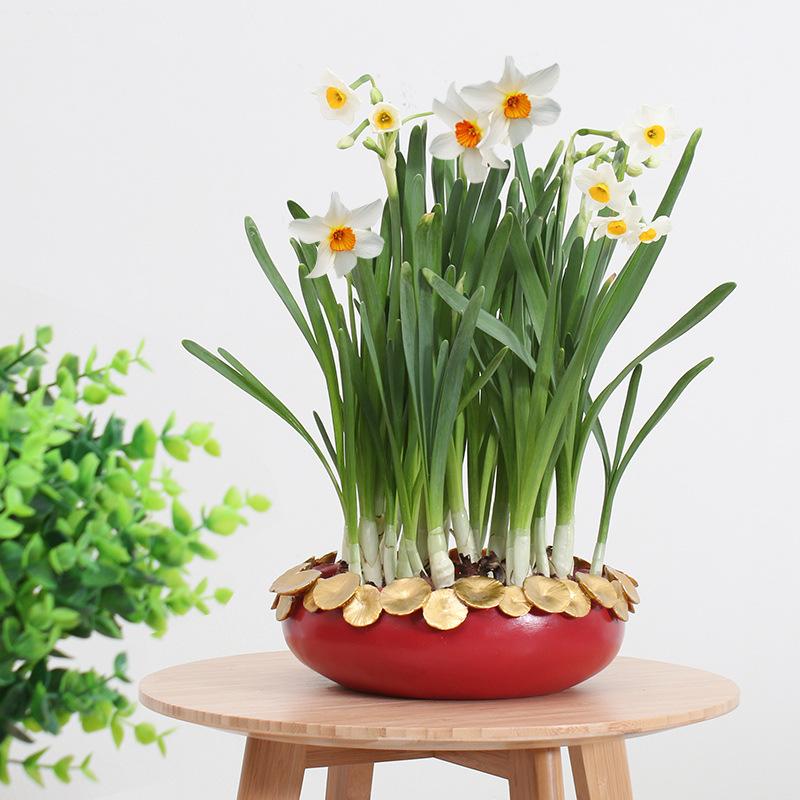 Chậu Cây Resin Chậu trồng sen không lỗ resin cỡ lớn, chậu thủy sinh trồng sen, thủy tiên, trầu bà và rau ban công (RG-130)