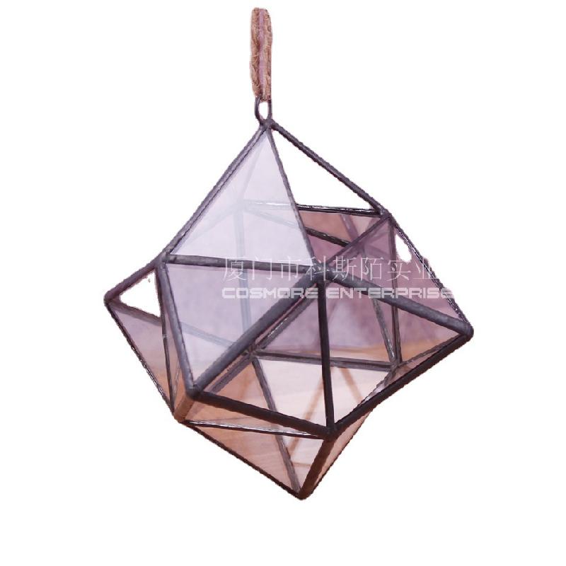 Chậu Đa Giác DG-229 Lọ hoa từ thủy tinh có 6 mặt cạnh, cây hoa sống đời, thảo mộc, cảnh quan nhỏ, thực vật sinh học trong chai