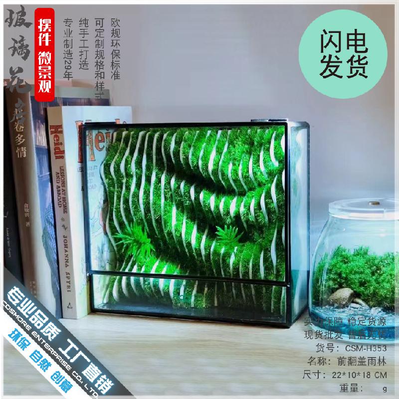 Chậu Đa Giác DG-13 Không gian nhỏ hình học kính hoa, tường mầm non kính, hộp kính, bàn mặt, chai sinh thái, cảnh quan thụy lợi nhỏ