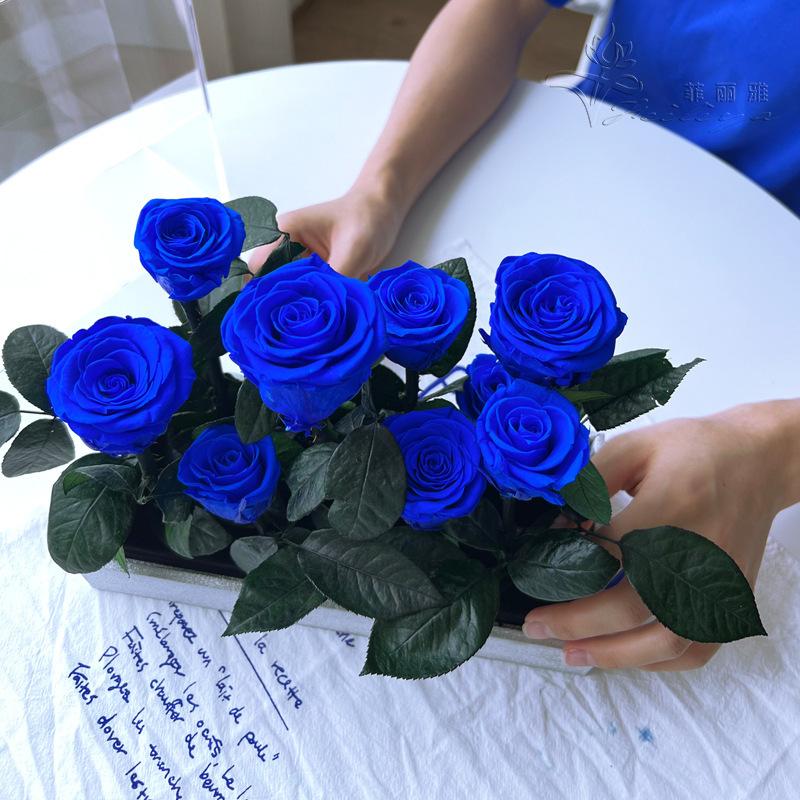 Hoa khô trang trí FY-141