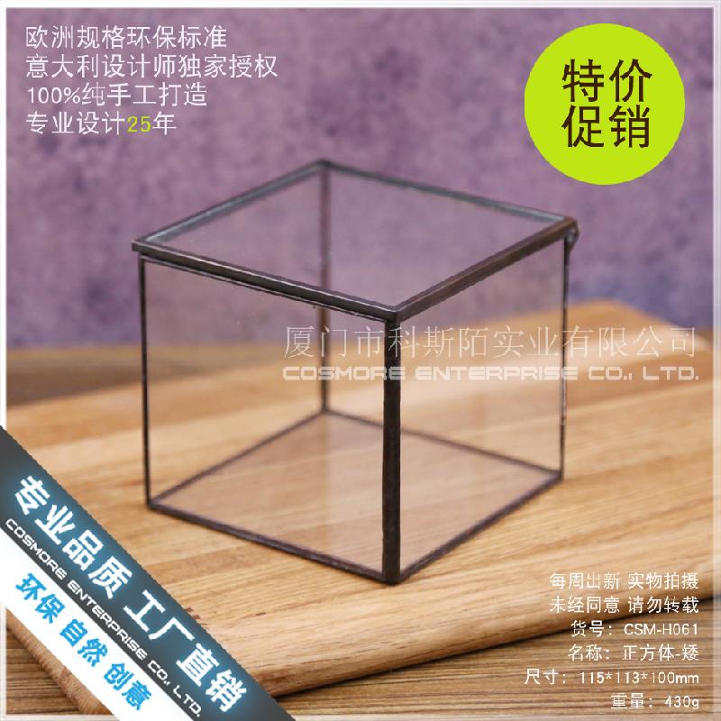Chậu Đa Giác Hộp kính rêu cảnh, bình sinh thái rừng mini (DG-63)