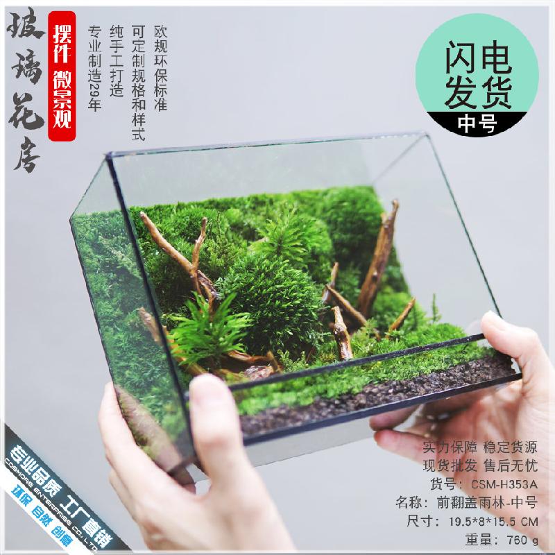 Chậu Đa Giác DG-18 Các bức tranh rừng kính hoa phòng để trang trí thiên nhiên