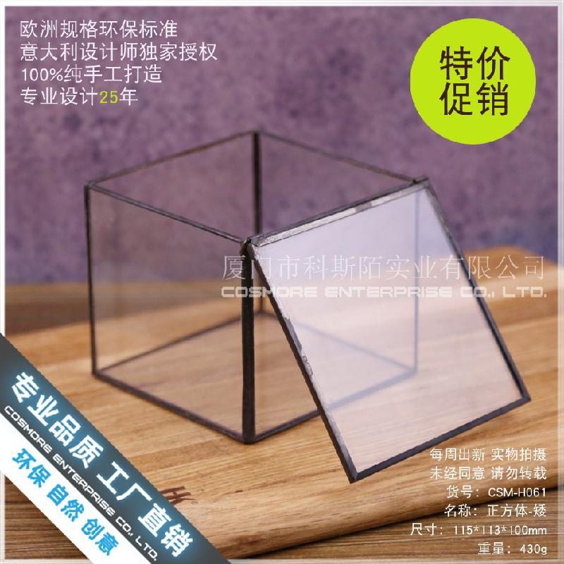 Chậu Đa Giác Hộp kính rêu cảnh, bình sinh thái rừng mini (DG-63)