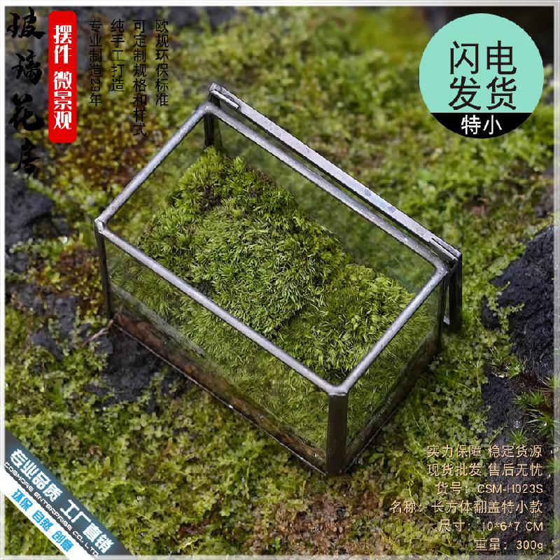 Chậu Đa Giác 植觉苔藓植物微景观玻璃盒子微缩造景生态瓶桌面盆栽家居摆件花盆
