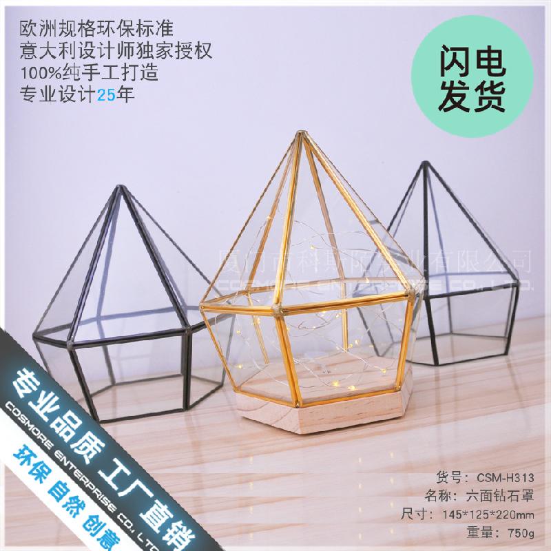 Chậu Đa Giác Chụp kính đế gỗ lục giác trang trí mô hình (DG-138)