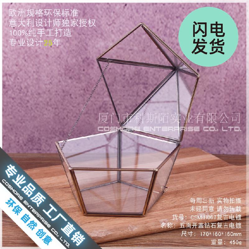Chậu Đa Giác Hộp kính trang sức vintage, nhà kính hoa bất tử (DG-191)