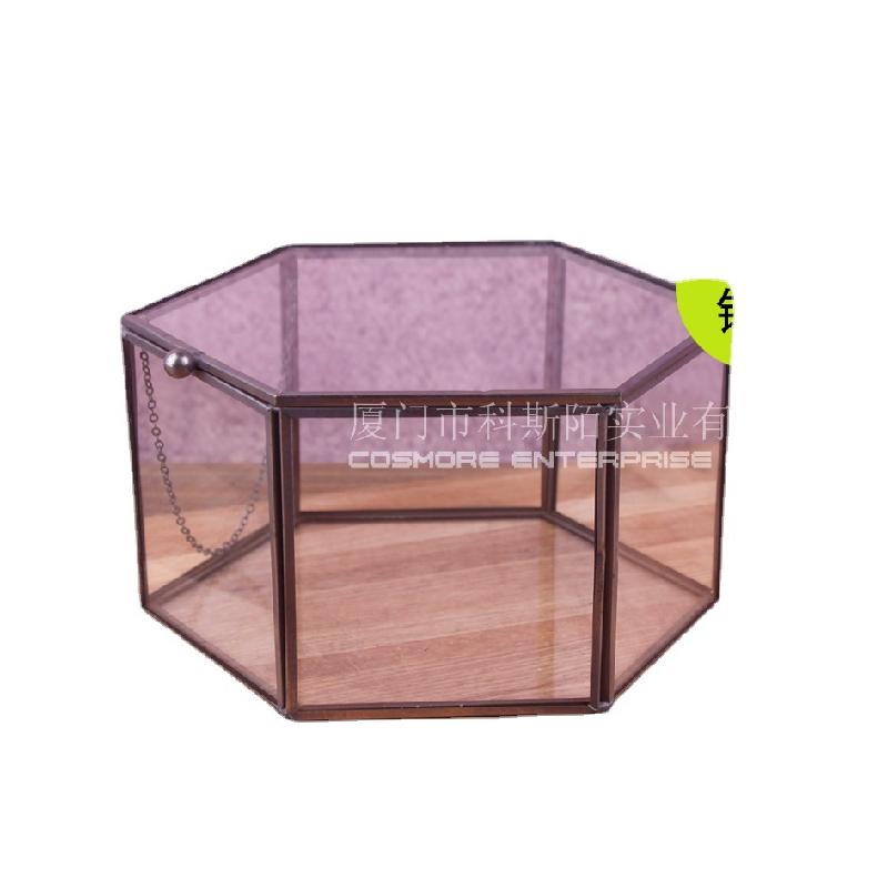Chậu Đa Giác Nhà kính 6 mặt viền đồng, tiểu cảnh rêu (DG-185)