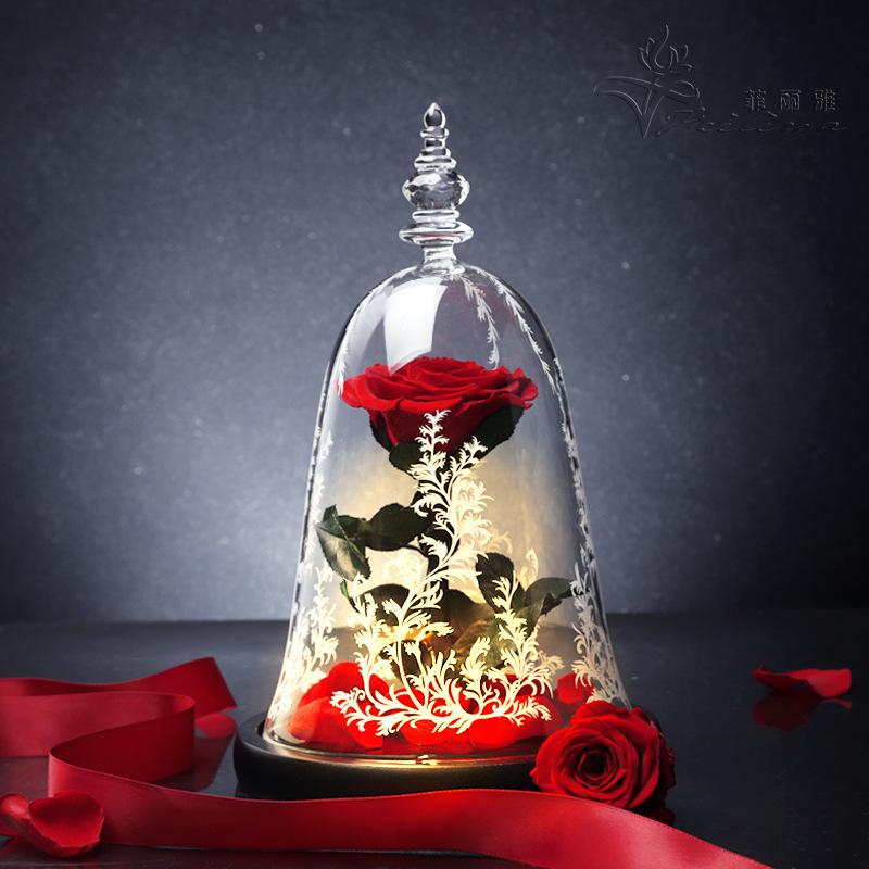 Hoa khô trang trí FY-162