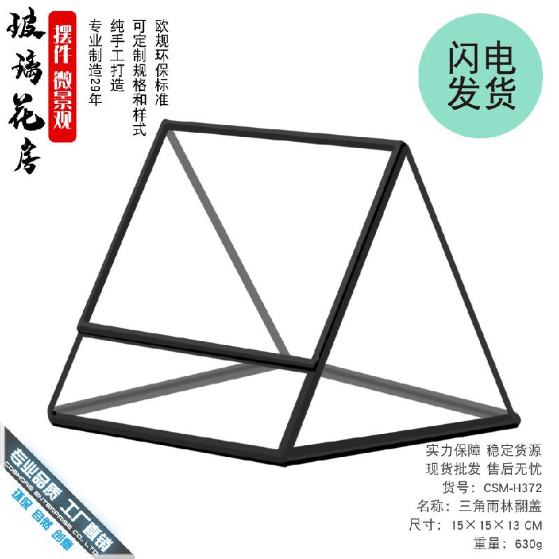 Chậu Đa Giác 生态瓶雨林缸苔藓微景观造景玻璃花房子