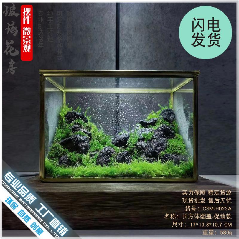 Chậu Đa Giác DG-9 Hộp nhỏ cảnh quan sinh thái bọt xanh tím