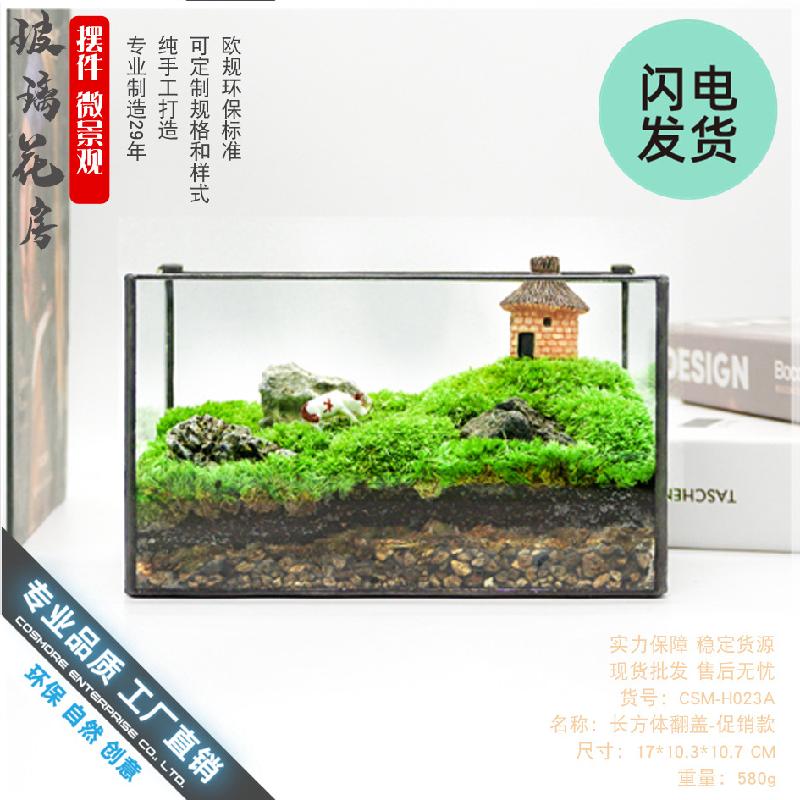 Chậu Đa Giác Bình sinh thái rêu cảnh mini (DG-3)