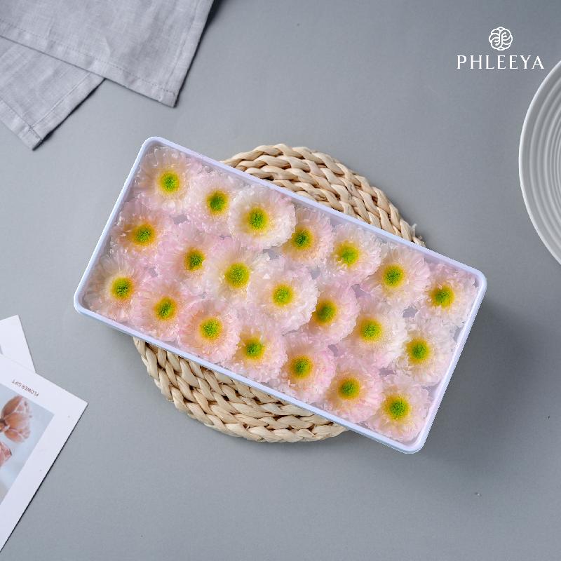 Hoa khô trang trí Hoa cúc vĩnh cửu DIY hoa khô cắm bình trang trí (HK-37)