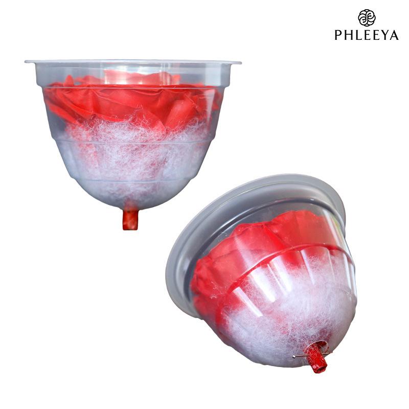 Hoa khô trang trí Hoa hồng vĩnh cửu hạng A DIY hộp quà Valentine (HK-145)