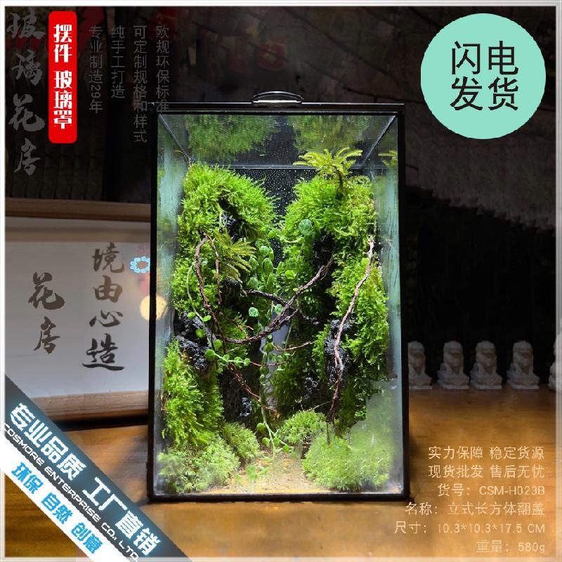 Chậu Đa Giác DG-7 Hộp kính hình lập phục vụ cây thực vật tảo, cảnh quan nhỏ không định hình