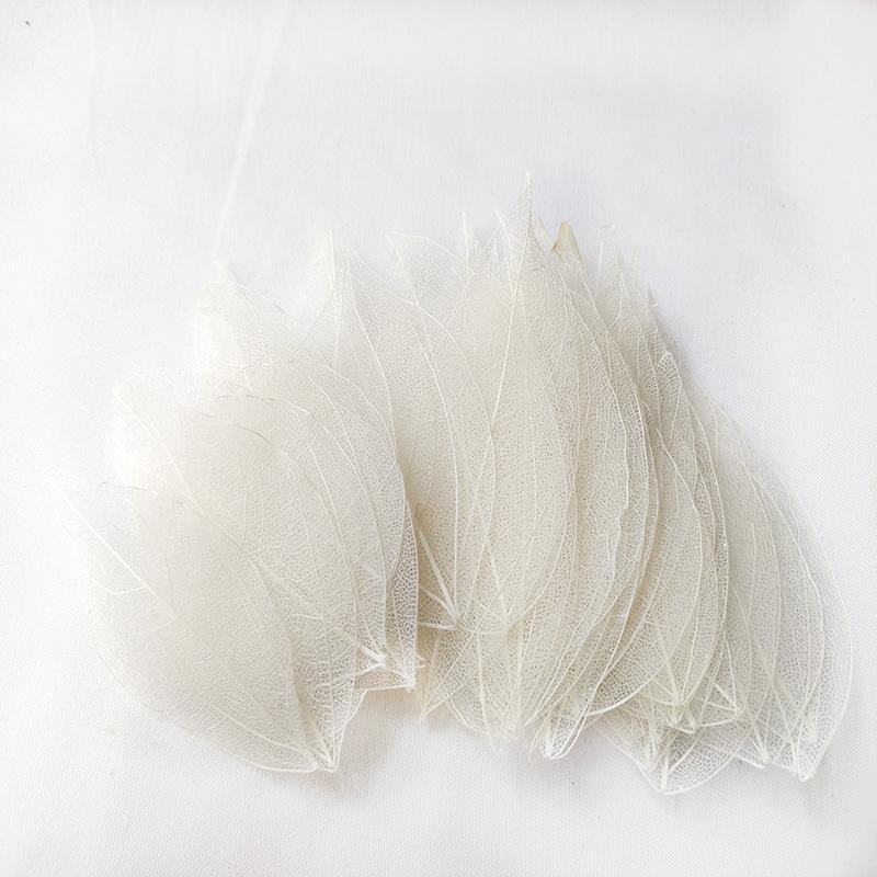 Hoa khô trang trí FY-120