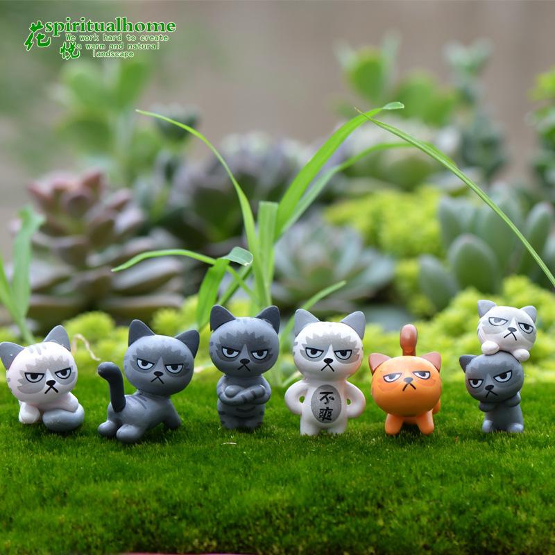 Phụ Kiện Tiểu Cảnh 苔藓微景观 多肉植物摆件 玩偶摆件 不爽猫 DIY材料创意小摆件