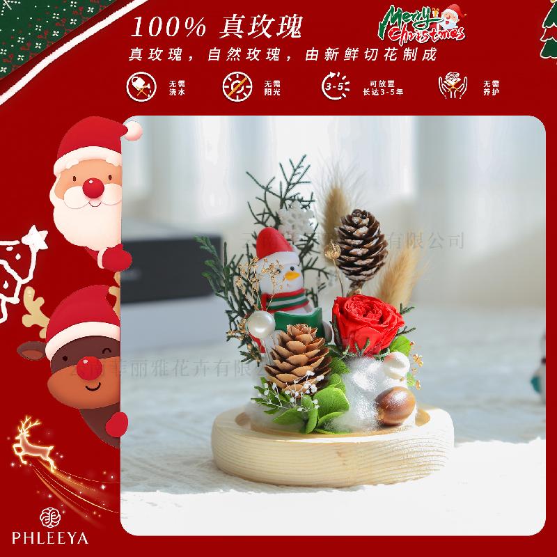 Hoa khô trang trí Hoa hồng vĩnh cửu cây thông Noel quà Valentine Thất Tịch (HK-80)