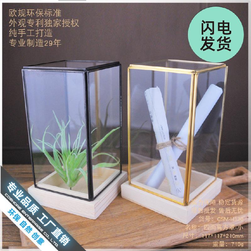 Chậu Đa Giác Chụp kính decor văn phòng, bàn làm việc (DG-133)